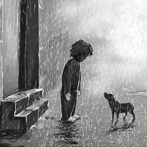 Собака под дождем