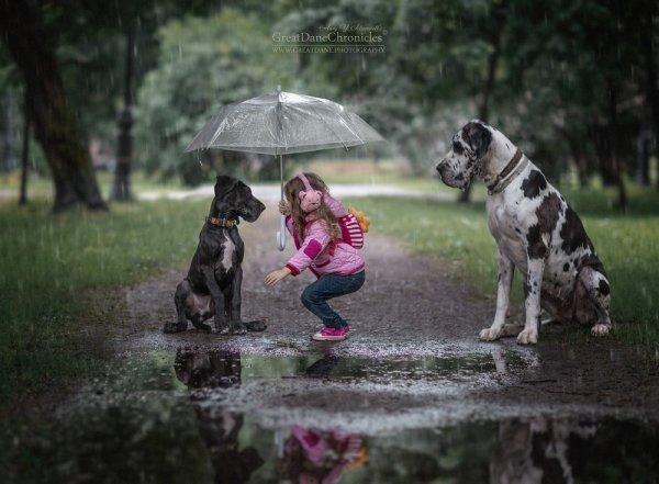 Энди Селиверстов фотограф