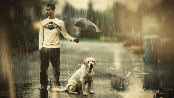 Мио небез добрых людей