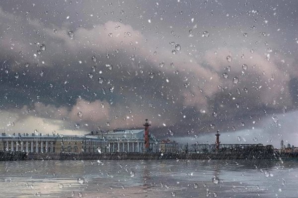 Дождливая зима в Петербурге