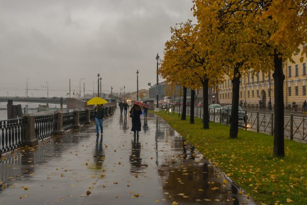 Питер ливень Нева