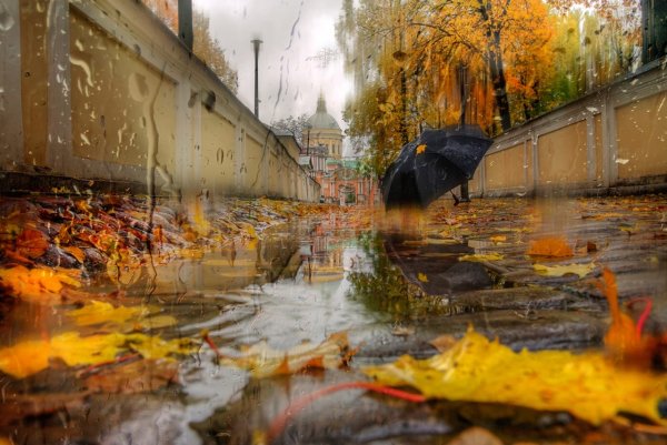 Эдуард Гордеев осенний Петербург