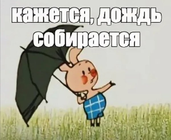 Винни пух кажется дождь собирается