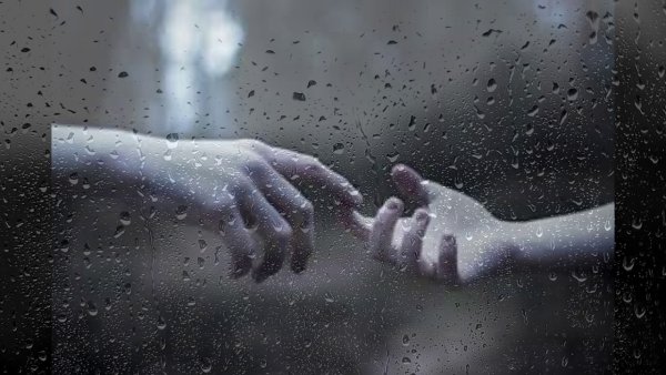 Ладонь под дождем