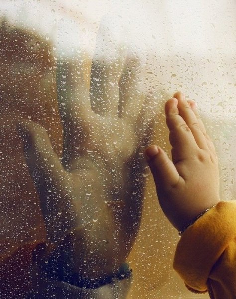 Сквозь стекло