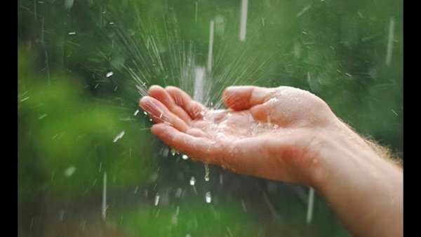 Ладонь под дождем