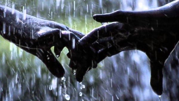 Руки влюбленных под дождем