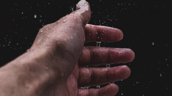 Дождь на ладони