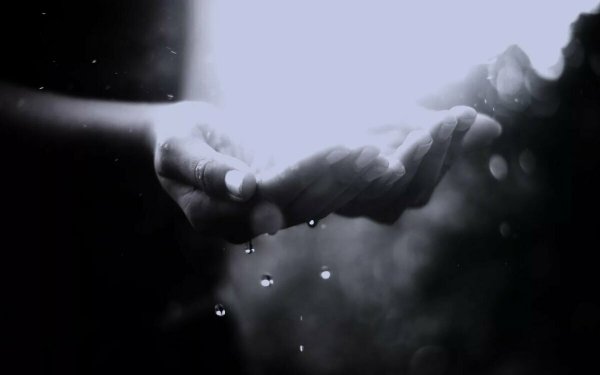 Дождь на ладони