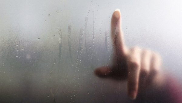 Ладонь на стекле