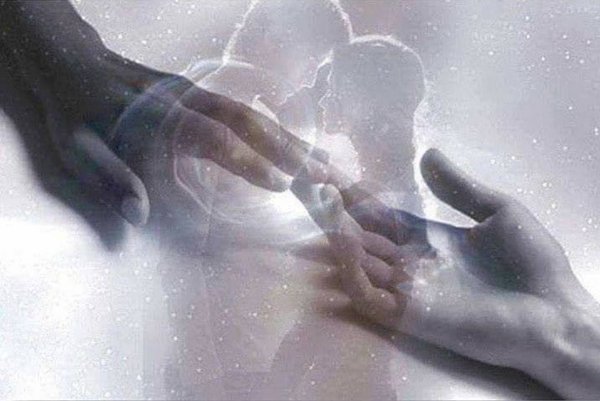 Нежность в ладонях