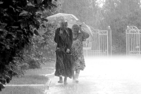 Бабульки под дождем