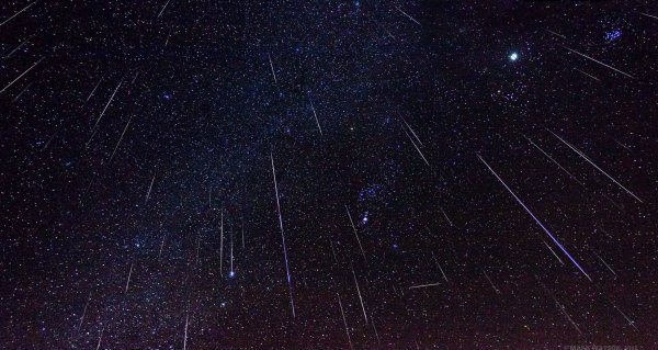 Виргиниды метеорный поток