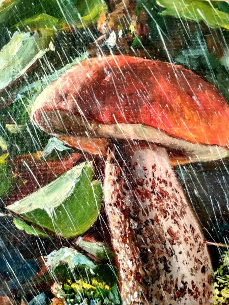 Летний грибной дождь