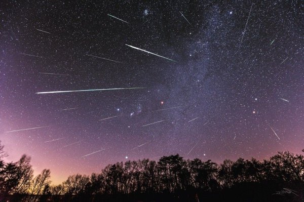 Южные Дельта-Аквариды