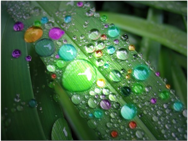 Разноцветные капельки