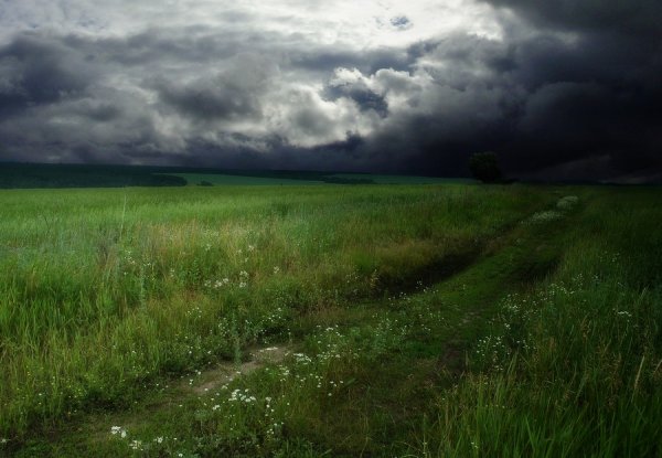 Небо перед грозой