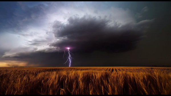 Гроза в поле