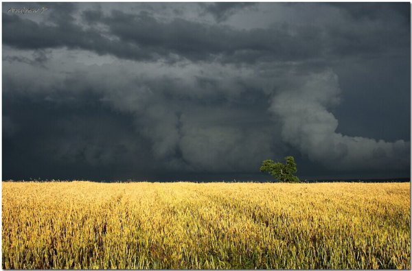 Надвигается гроза