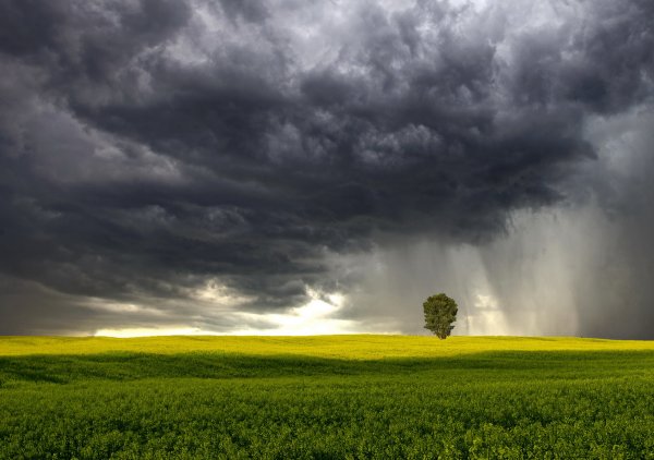 Дождь над полем