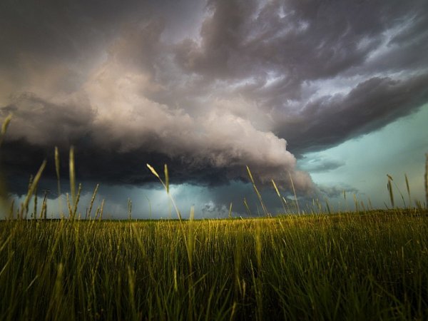 Гроза над полем