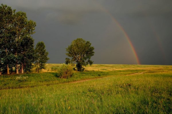 Природа перед грозой