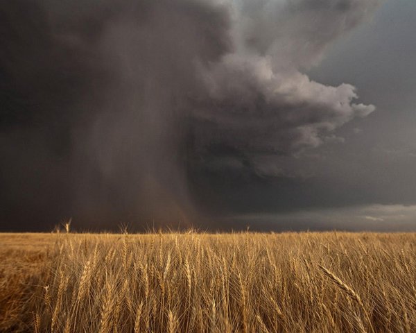 Гроза в поле