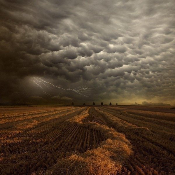 Поле перед грозой