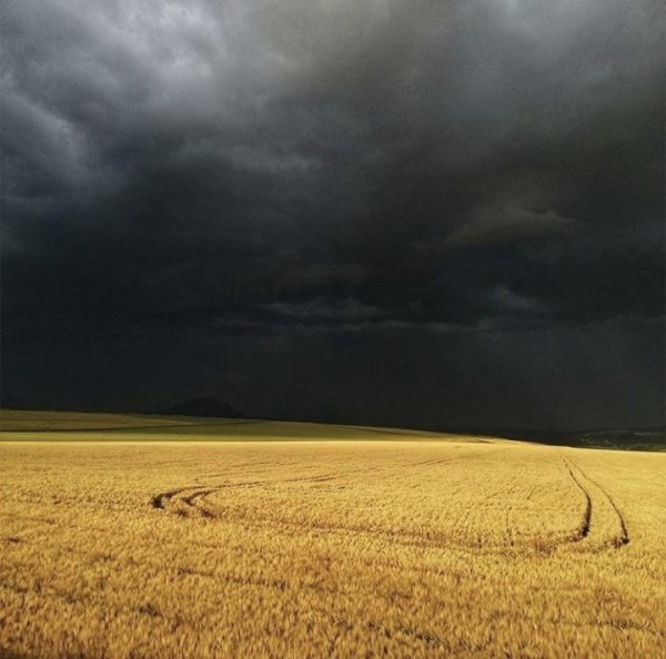 Поле перед грозой