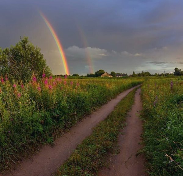 Поля Вологодской области