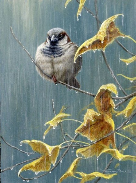 Картины художника Jeremy Paul