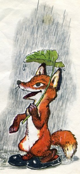 Лисичка под дождиком