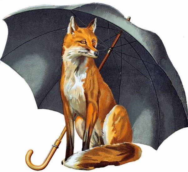 Зонт с лисой