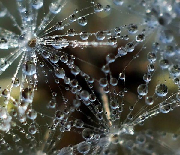 Макросъёмка воды