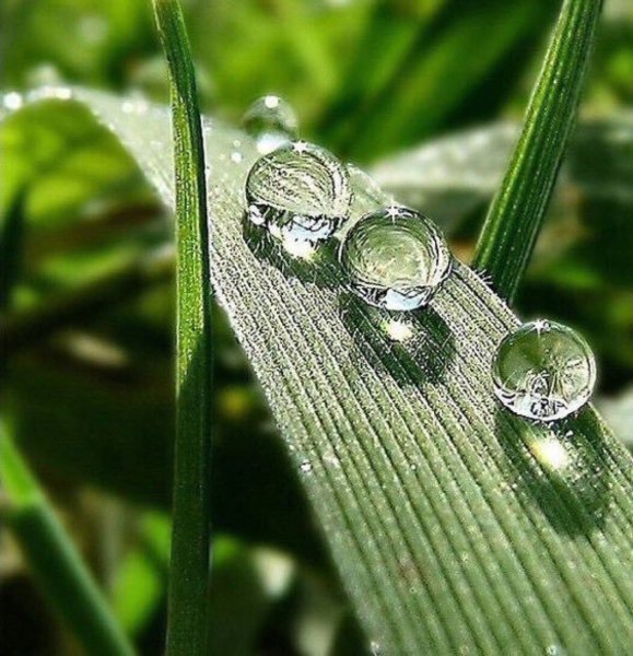 Макросъемка воды