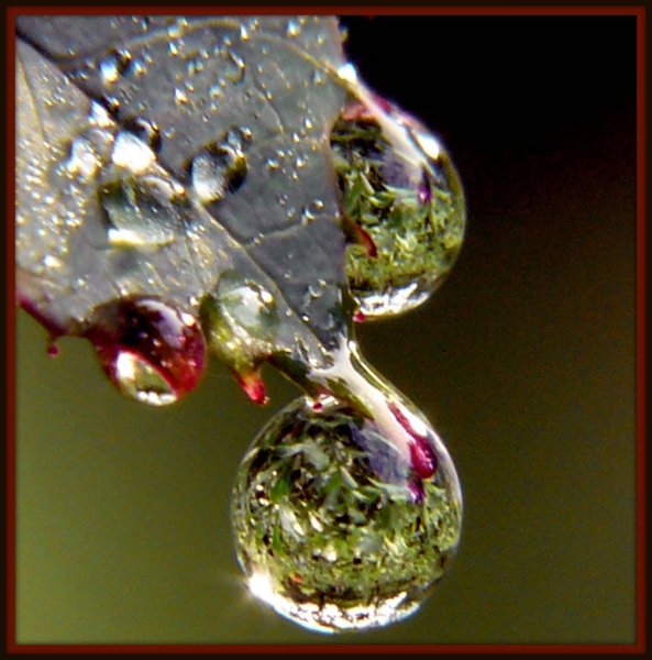 Капля дождя