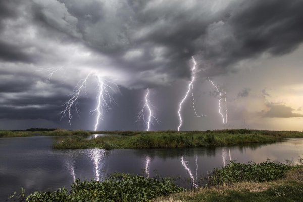 Грозовой дождь