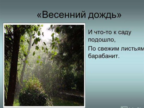 Весенний дождь Фет