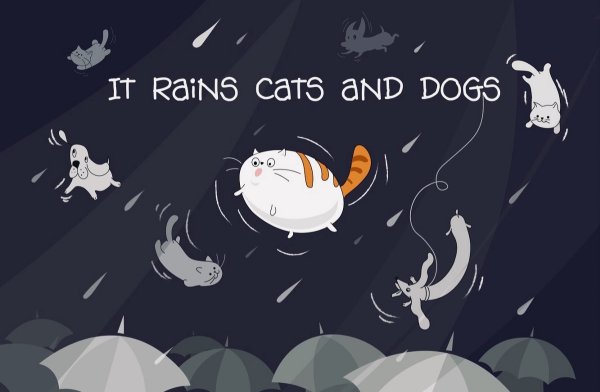Raining Cats and Dogs идиома