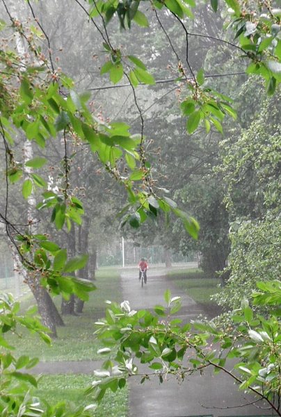 Майский дождь