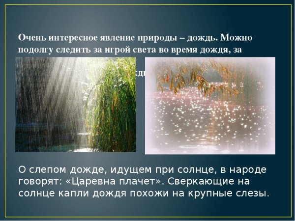 Явления природы дождь