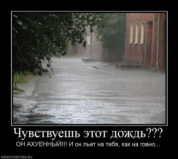 Дождь юмор