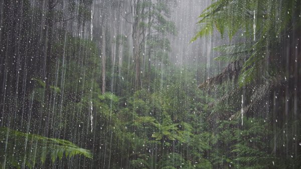 Легкий дождь