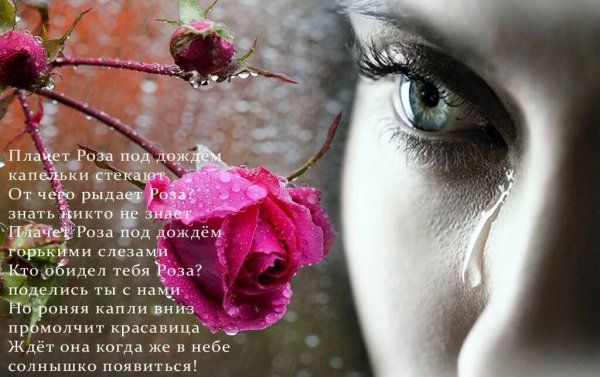 Девушка с розами стихи