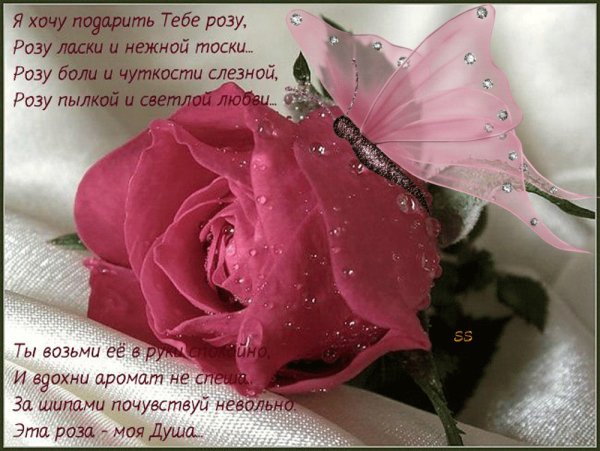 Стихи про цветы