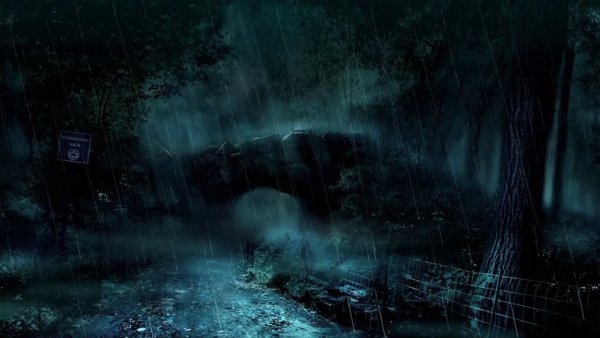 Картинки лес ночь дождь (67 фото) » Картинки и статусы про окружающий мир  вокруг