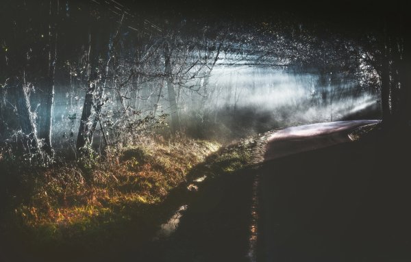 Картинки лес ночь дождь (67 фото) » Картинки и статусы про окружающий мир  вокруг