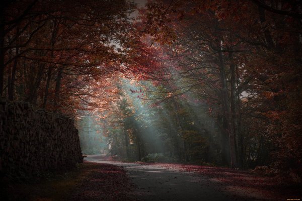 Мрачная осень