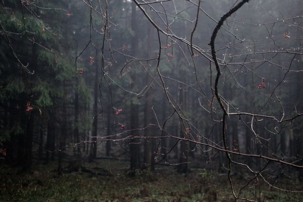 Мрачная осень