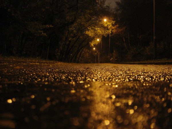 Дождливая осень ночь